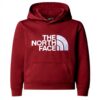The North Face Sweatshirt à Capuche Enfant Confortable