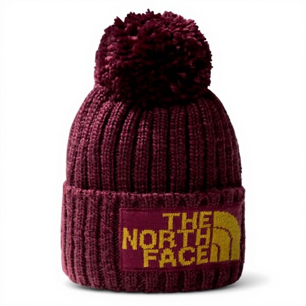 Bonnets The North Face Heritage Ski Tuke Mixte Côtes