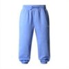 Pantalon de jogging The North Face Homme Relaxed Straight
