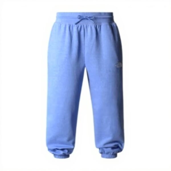Pantalon de jogging The North Face Homme Relaxed Straight
