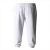 Pantalon jogger The North Face homme sport plein air