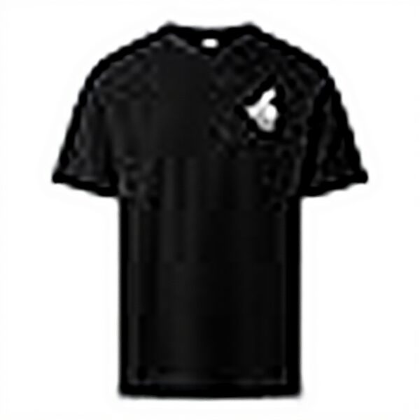 T-shirt The North Face Powder Days Homme Confortable