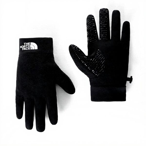 The North Face Rino Gants Homme Noir Moto Antidérapant