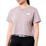 T-shirt The North Face Femme Coupe Slim Cropped Logo Imprimé