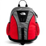Sac à dos THE NORTH FACE Y2k Daypack Homme spacieux