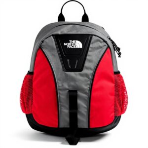 Sac à dos THE NORTH FACE Y2k Daypack Homme spacieux