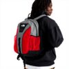 Sac à dos THE NORTH FACE Y2k Daypack Homme spacieux