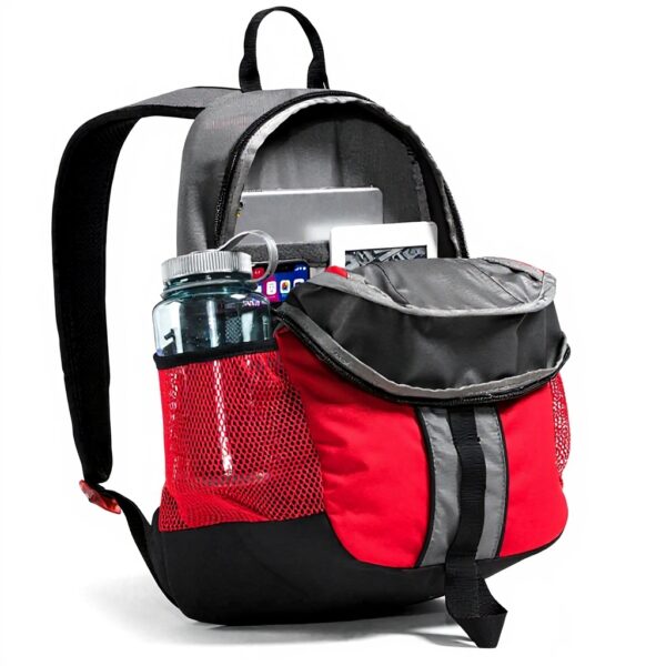 Sac à dos THE NORTH FACE Y2k Daypack Homme spacieux